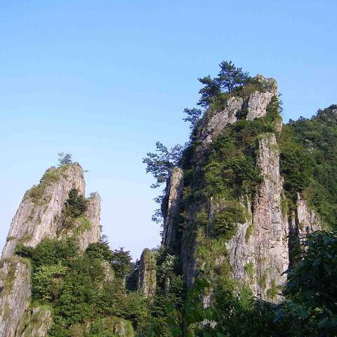 科技護(hù)林，走進(jìn)‘清涼峰’